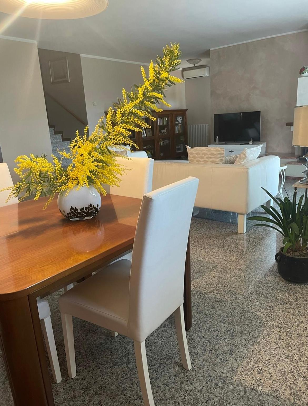 B&B Amy&Julie Badia Polesine Ngoại thất bức ảnh