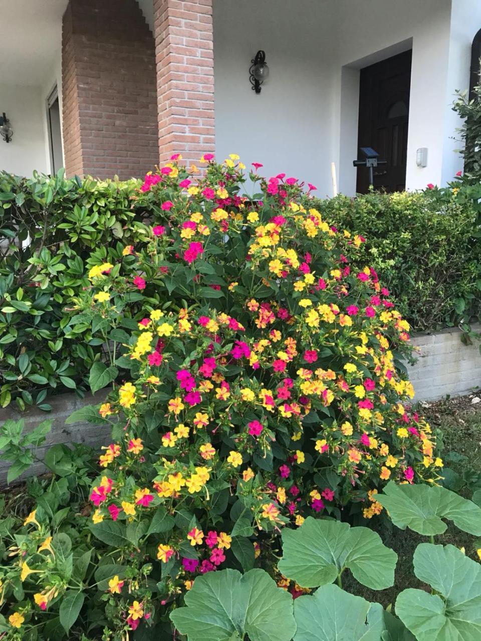 B&B Amy&Julie Badia Polesine Ngoại thất bức ảnh